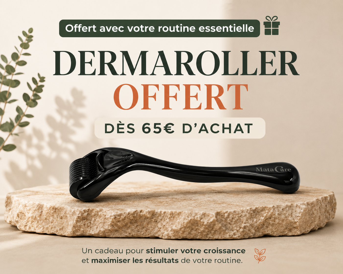 Routine Essentielle – Pousse & Réparation